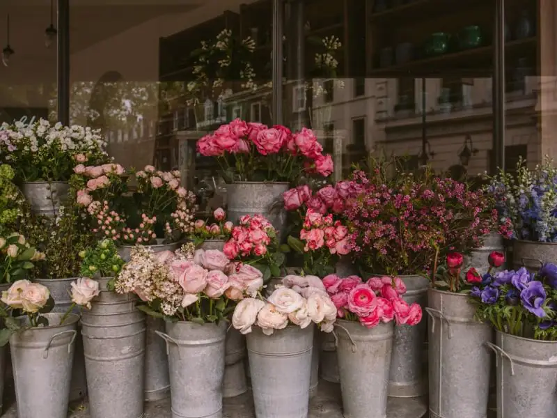 Pink flowers in a steel bucket